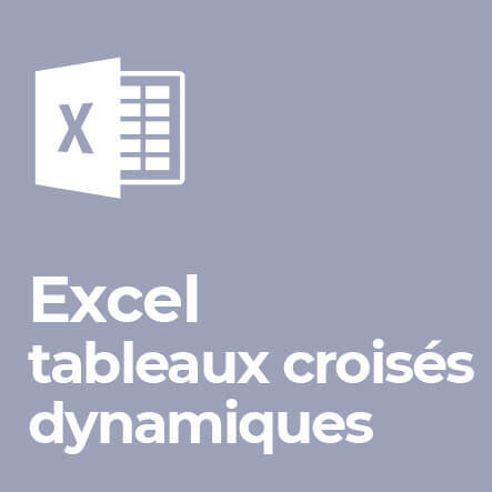 Formation Excel tableaux croisés dynamiques